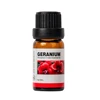 Geranio