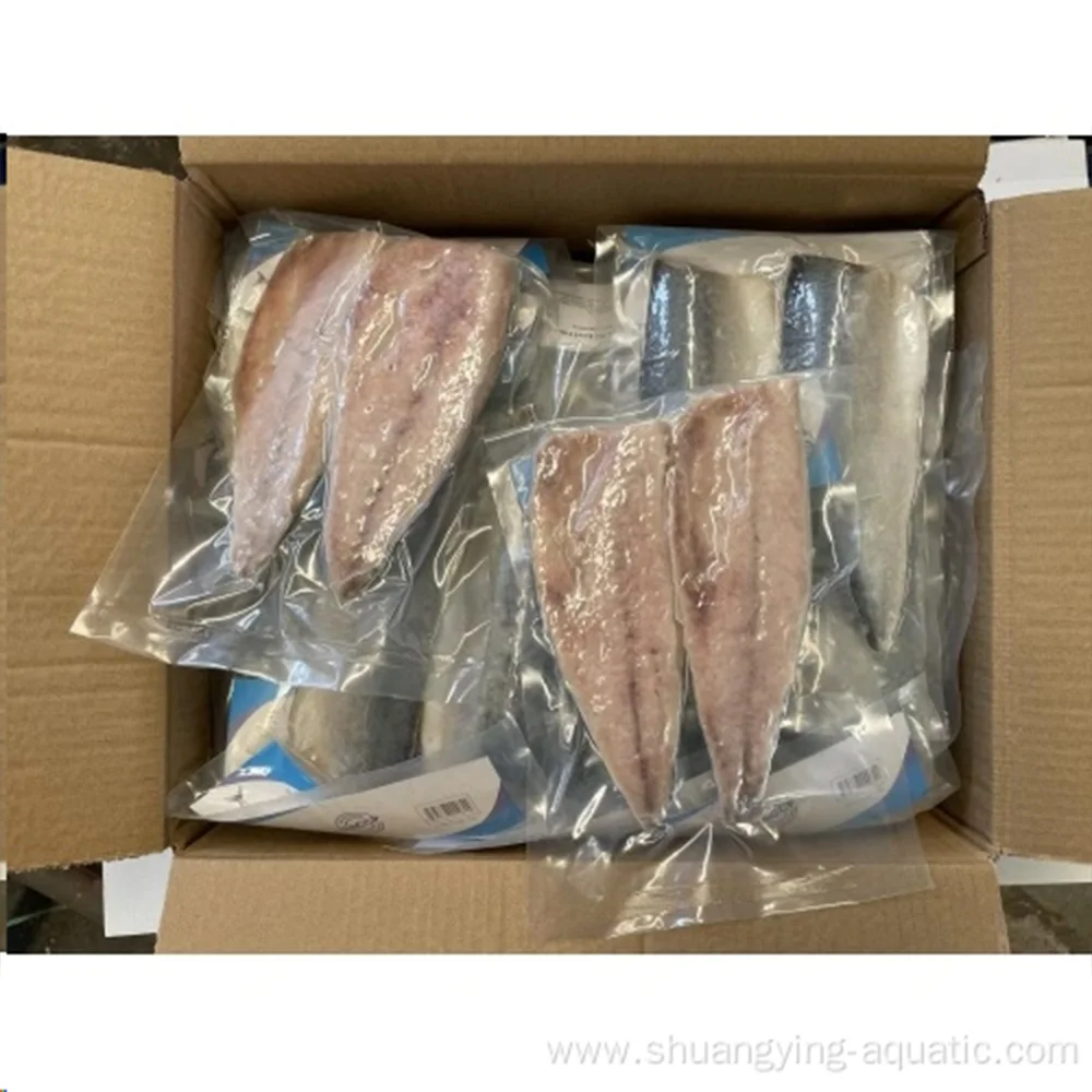 Frozen Fish Mackerel Fillets Pbi Frozen Mackerel Fillet Frozen Pacific Mackerel Fillet