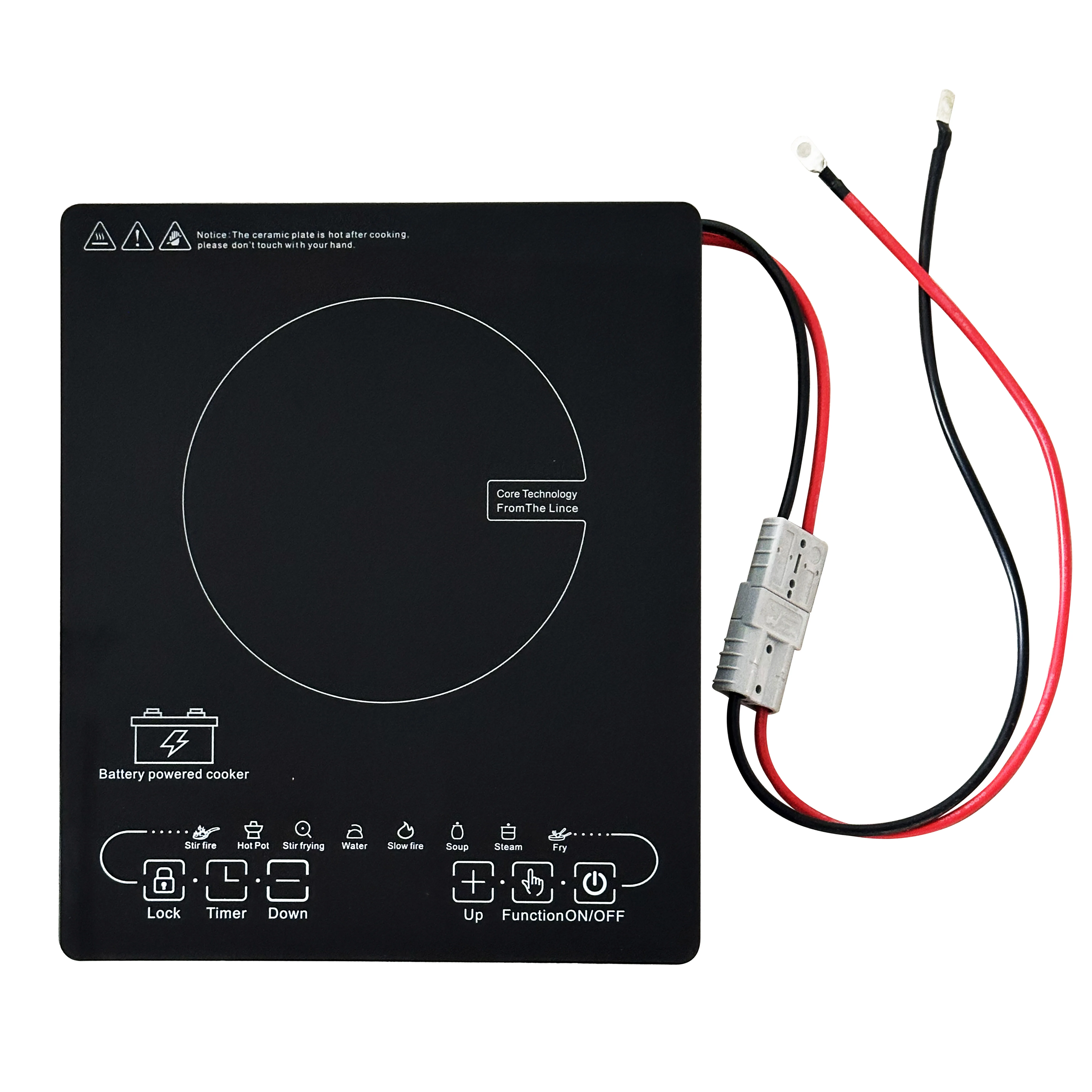 Plaque à Induction 48V DC 1500W Pour Four Solaire / Camping-car - Modèle DC-300