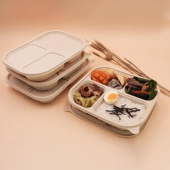 Compostable Disposable Corn Starch Food Container Biodegradable ...