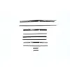Chrome*10