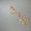 Salice delle nevi arancione
