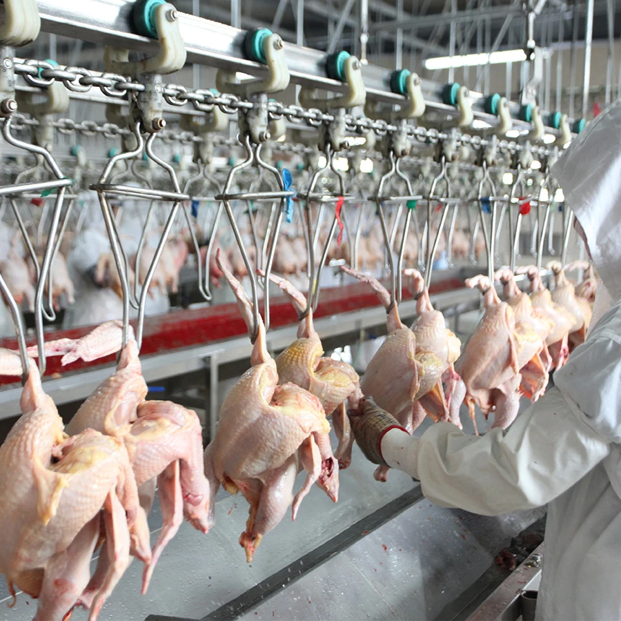 2000BPH Poultry Slaughter Line Chickens Process