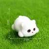 Little Bear