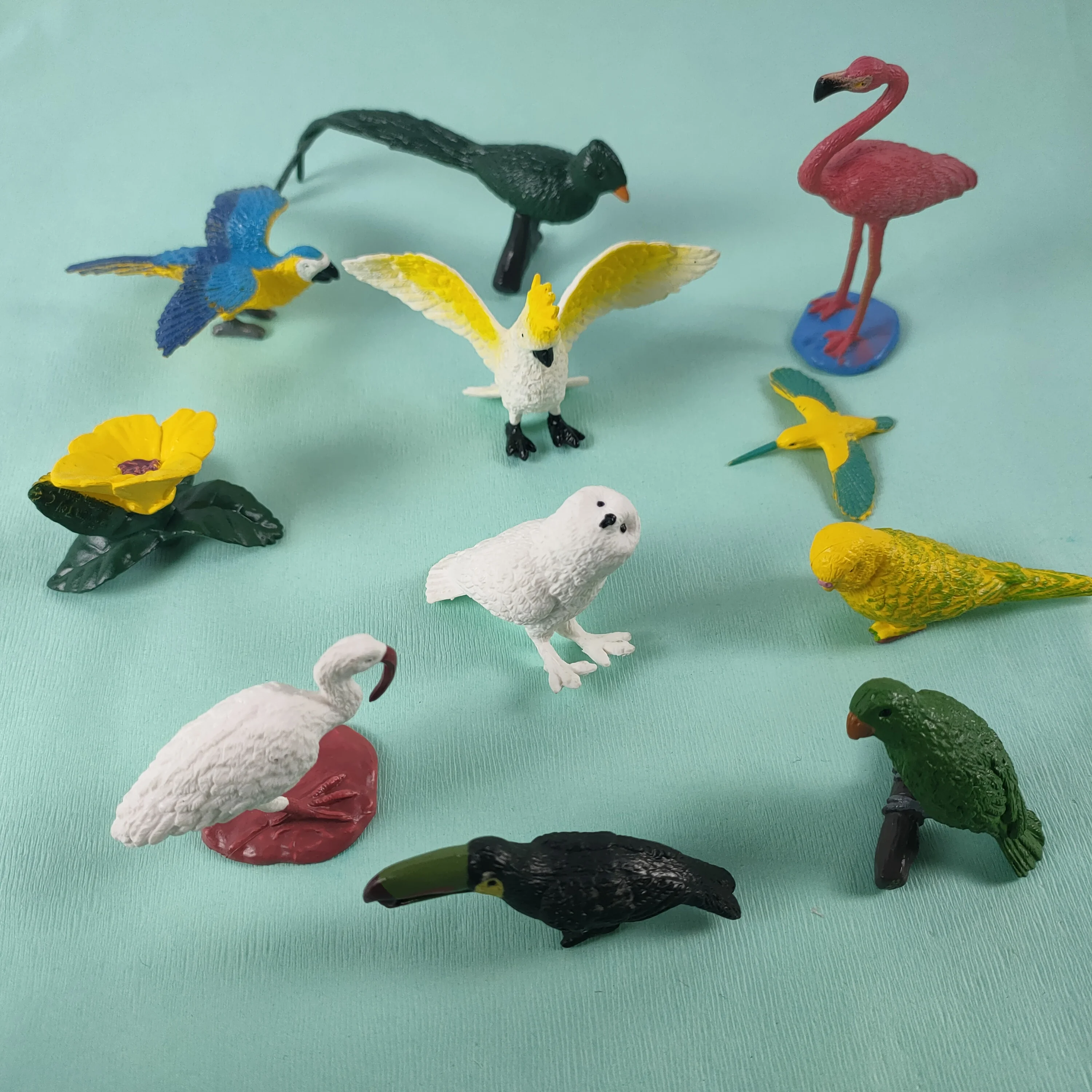 bird set toys