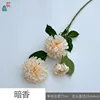 Hidden Fragrance Y Champagne