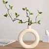 Circle ceramic vase with withered branches and green leaves
