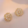 Boucle d'oreille-Or