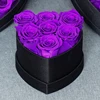 Rosa-7-Cuore