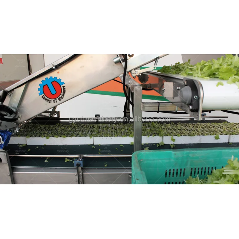 Automatic Microgreen Tray Harvesting Machine Microgreen Leaf Lettuces Harvester Cutter Machines