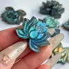 Lotus flower