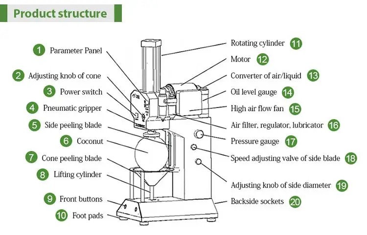 Green Coconut Tender Coconut Peeling Shredding Trimming Machine Processing Line Indian with Lid