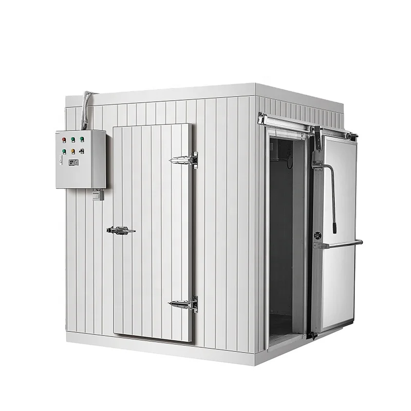 100 Cubic Meters Cold Storage/cold Room