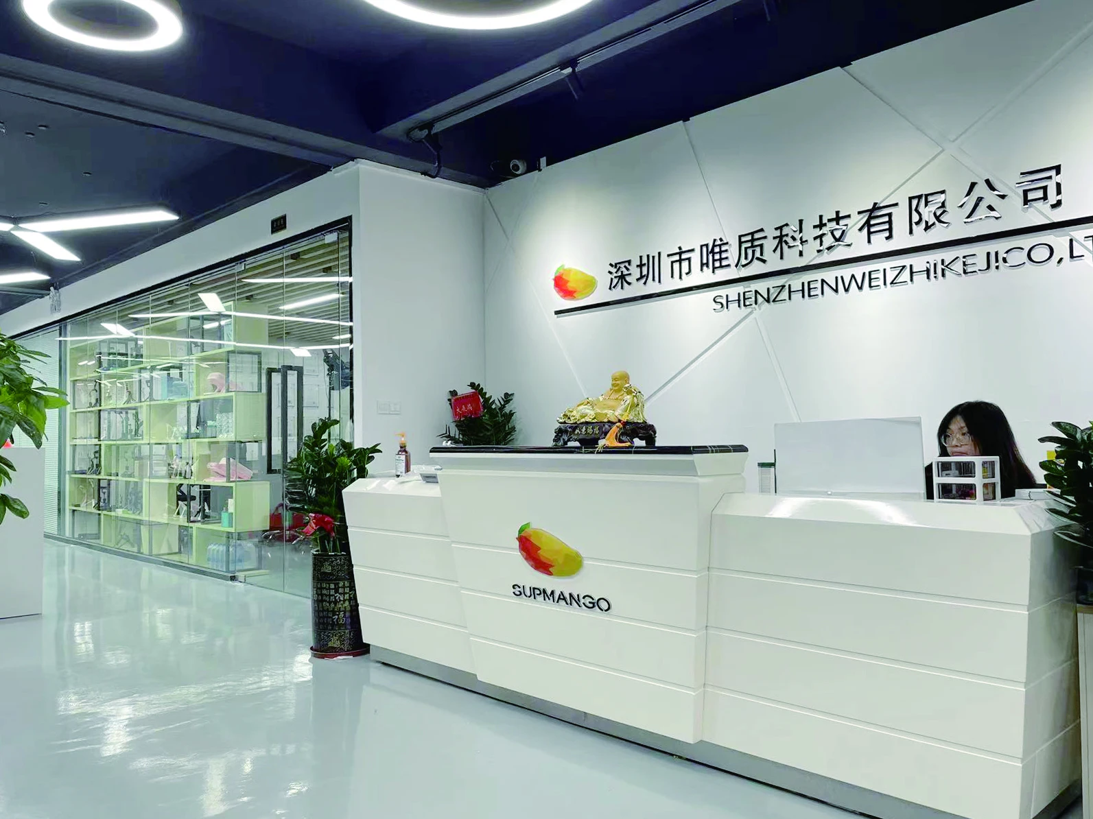 Shenzhen Weizhi Technology Co., Ltd. 2