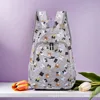 gato gris