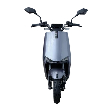 High SPEED Best Performance OEM 1000W 2 Wheel Mobility Scooter Electric Moped Sportbikes With Pedals