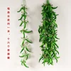1 meter long, 16 green bell peppers with leaves