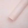 Rose 02