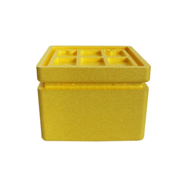Foam Packaging Epp Box Custom Size Insulated Fish Mini Hard Cooler Box Picnic For Food