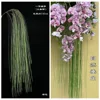 green curtain