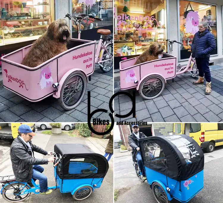 Rental Bike Pedicabs Tuk Tuk Rickshaw Price Cheap For Asia And Europe 