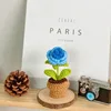 B blue gradient rose potted