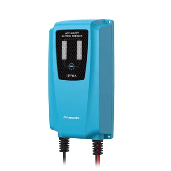 Carstel 90% Efficiency 15A Intelligent AC DC Battery Charger with Current Protection