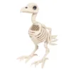 White-Bird