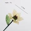 March daffodil