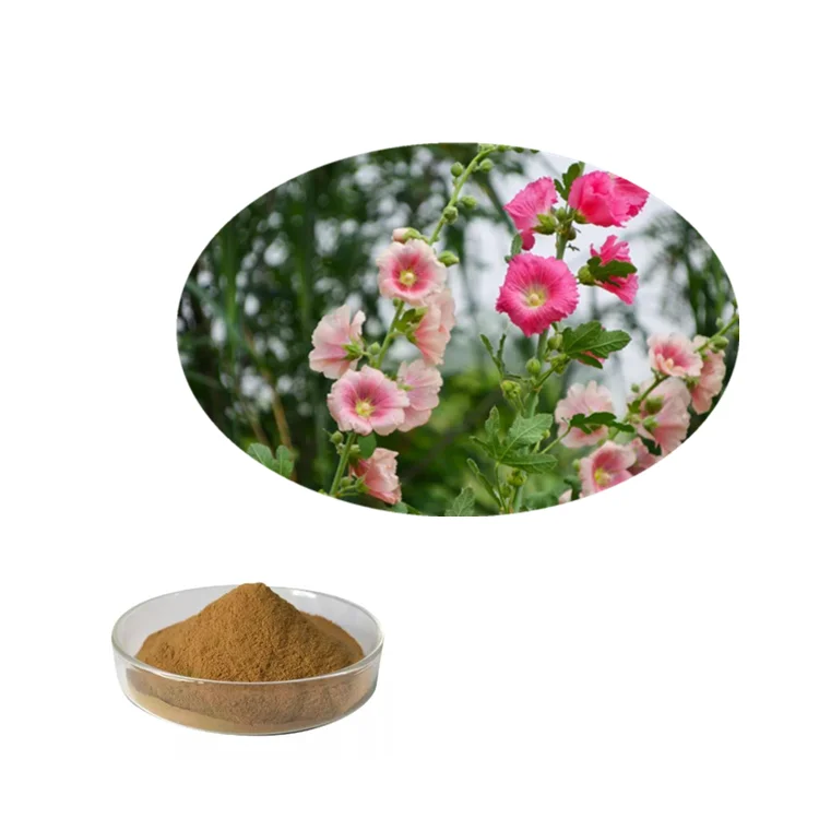 Best Price Althaea Rosae Root Extract Powder Herbal Marshmallow Root For  Hair - Buy Marshmallow Root Extract For Hair,Marshmallow Root Extract Powder,Althaea  Rosae Root Extract Product on 