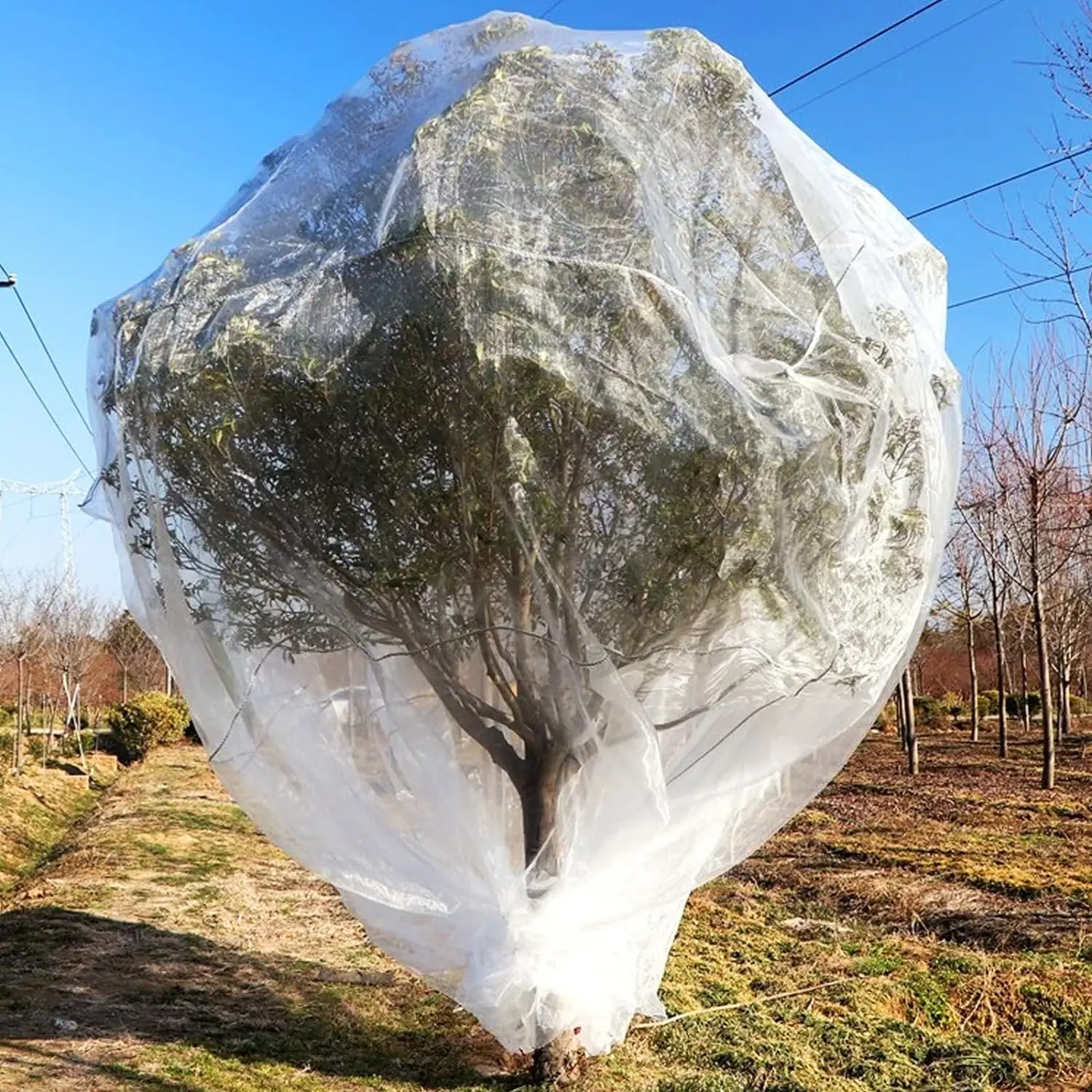 Fruit Saver Tree Net – Pest Management Solutions