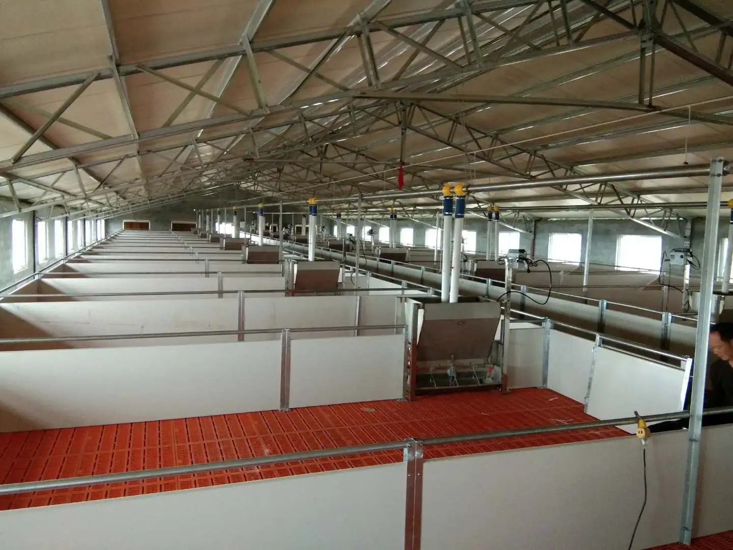 PH PVC Panel  Galvanized Weaning Crate Nursery Pen for Piglet and Weaning Crate Pig Farm Nursery Bed
