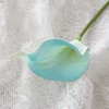สี6
