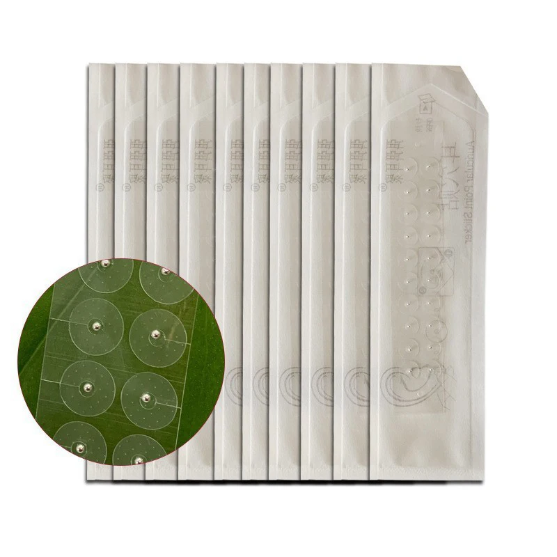 Colorful Crystal Ear Seeds Kit Auricular Therapy Jewelry Gemstone Ear