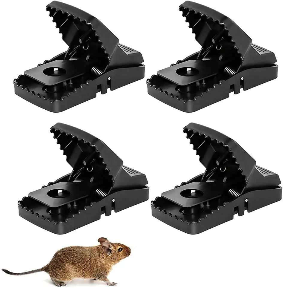 pack rat size - Ilustrasi 3