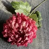 สีแดงกุหลาบอ่อน