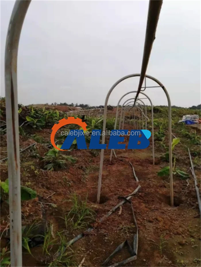 High Productivity Banana Rail Conveyor - Ropeway Transport