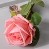 Coral Pink