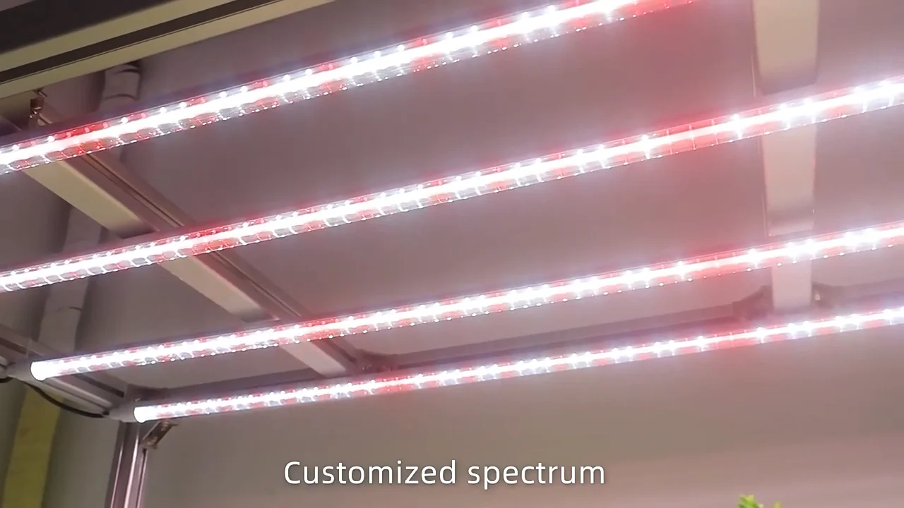 Aluminum 30w Uva+uvb Uv Ir Grow Light Led Plant Flower Grow Lights In