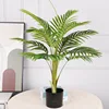 0.9M 12-leaf miniature palm