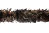 5.Coque feather boa 6/8" Moq 2yard
