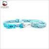 Candy dog blue