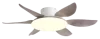 Blanco Gris Veta de Madera