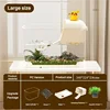 Bianco + Set Cinque Pezzi