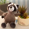 Raccoon