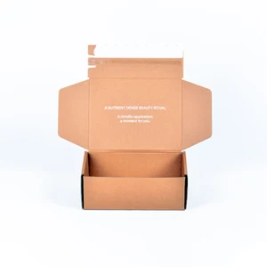 Hot Selling Corrugated Airplane Box Waterproof and Pressure Resistant Airplane Box Can Be Customized with Printing Airplane Box