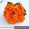Five-headed Mini Hydrangea WZT Orange