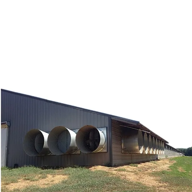 1200 M2 Large Span Prefab Steel Structure Poultry Farm Shed for Broiler Fatten Chicken Poultry House