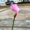 Poudre profonde (rose violet)