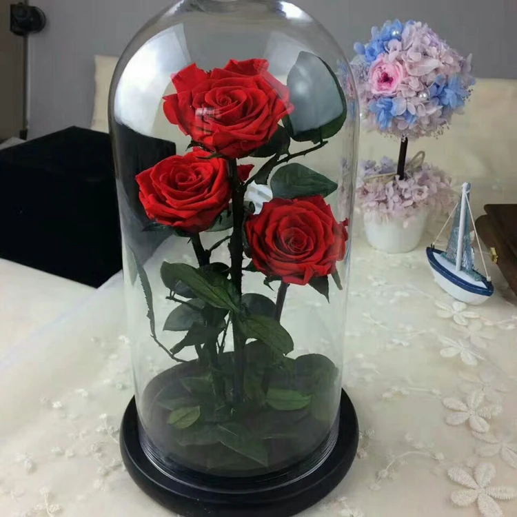 Beautiful A Grade Real Touch Preserved Rose Head 56 Cm Rose Bud 6